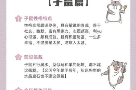 老鼠就是命：透视1984年出生的鼠年人的命运与特点