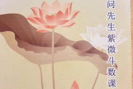 揭开几月出生的命运之谜，探索人生的不同可能性！