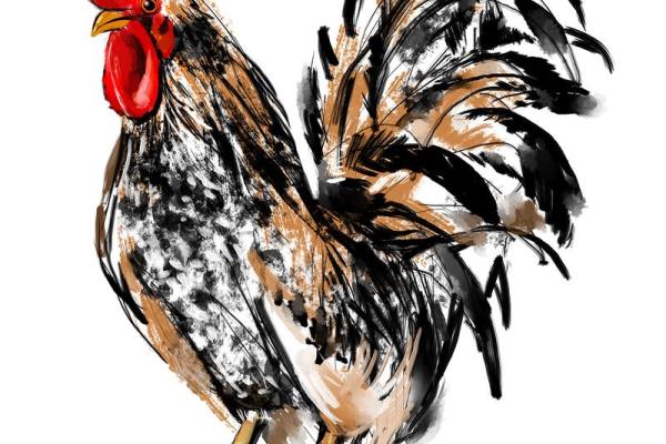 巽命揭秘:与生肖相伴的秘密动物 巽命揭秘:与生肖相伴的秘密动物