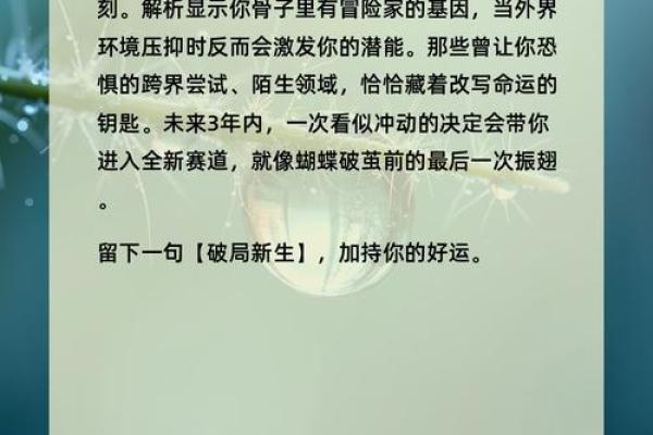 探索命运的奥秘:如何查找自己的命格与人生轨迹 探索命运的奥秘:如何查找自己的命格与人生轨迹