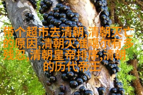 头发颜色与命运的微妙联系:探索生活中的隐秘寓意 头发颜色与命运的微妙联系:探索生活中的隐秘寓意