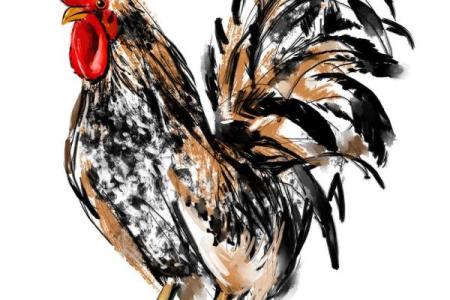 巽命揭秘：与生肖相伴的秘密动物