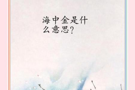 海中金命：适合的买卖与创业选择，一探谋利之道！