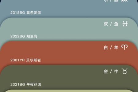 探索猪木命的颜色选择：与命理相辅相成的颜色之美