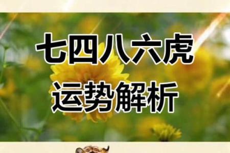 45岁虎年命运解析：2018年的机遇与挑战
