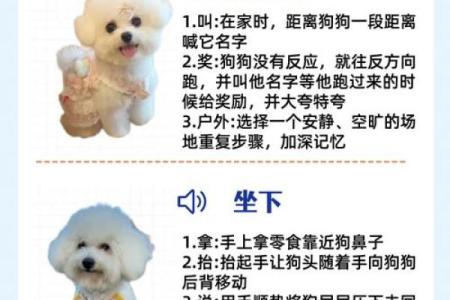 2018年属狗女孩命运解析：如何把握人生机会，让幸福伴随左右！