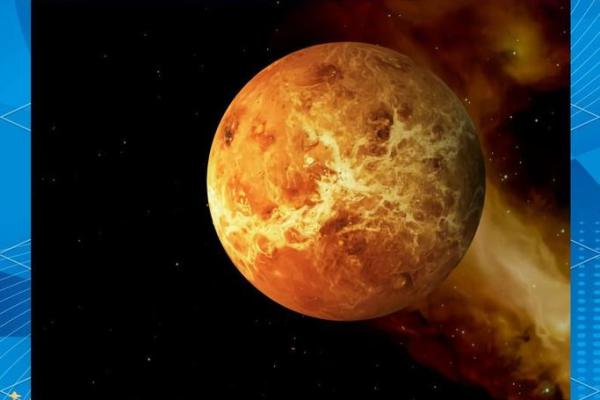 1992年出生的孩子命运解析:天赋与挑战并存 1992年出生的孩子命运解析:天赋与挑战并存