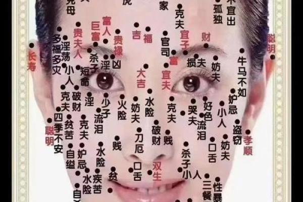 揭秘鼻头暗示的命运特征,助你发现内心潜力! 揭秘鼻头暗示的命运特征,助你发现内心潜力!