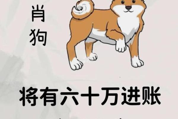 94年出生的人属狗:命运与性格的完美结合 94年出生的人属狗:命运与性格的完美结合