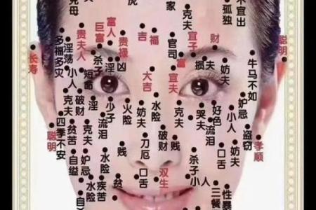 揭秘鼻头暗示的命运特征，助你发现内心潜力！