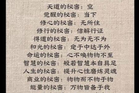 召之即来唯命所学：探寻个人潜力的无尽可能性