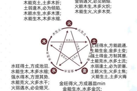 2019年命运解析：生肖与五行的深刻联系