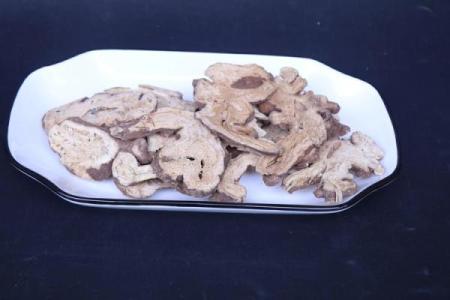 白术六命：探寻命运与生理健康的奥秘