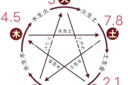 1999年的命理解析：五行属性与人生轨迹探索