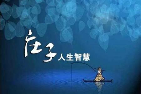 探索命运之路：从成语看人生哲学与智慧