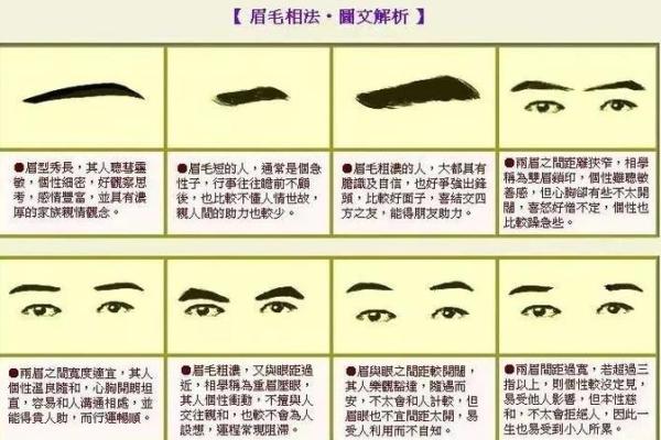 眉毛粗的人命运分析:性格与运势的深层联系 眉毛粗的人命运分析:性格与运势的深层联系