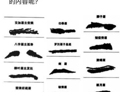 眉毛粗的人命运分析：性格与运势的深层联系