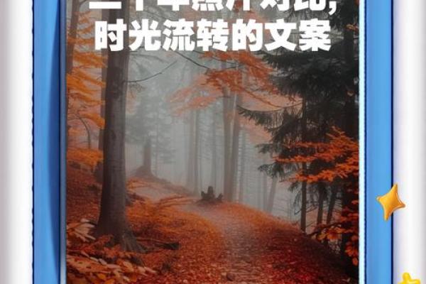 1980年1月26日:记忆中的温暖时光与永恒的情感大潮 1980年1月26日:记忆中的温暖时光与永恒的情感大潮