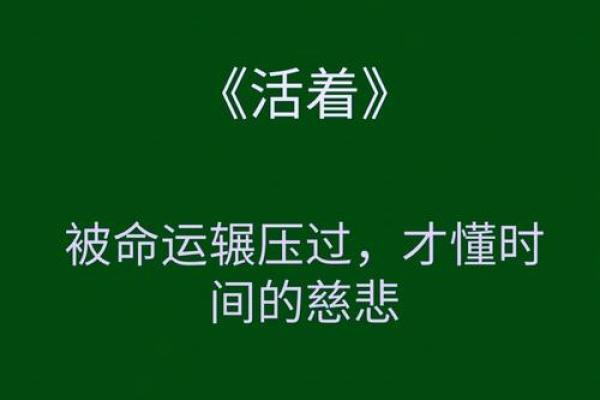 平地木命的独特魅力与生活启示 平地木命的独特魅力与生活启示