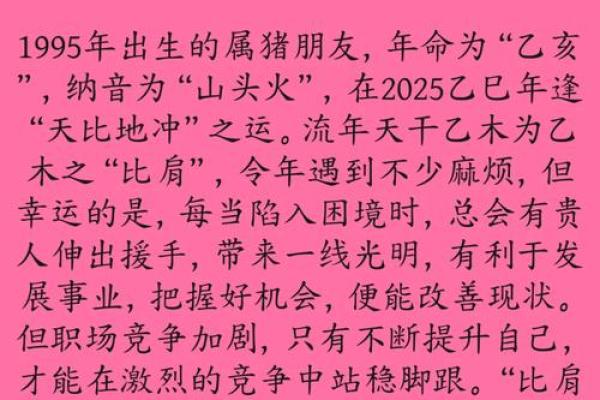 2019年属猪人的命运解析:如何迎接美好未来? 2019年属猪人的命运解析:如何迎接美好未来?