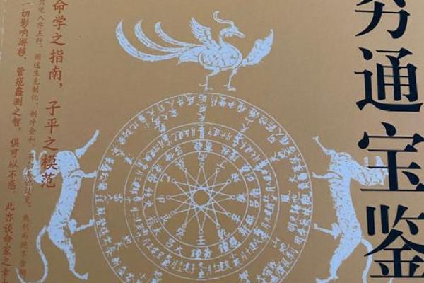 算命之道:探寻属于你的命理密码,揭开人生玄机! 算命之道:探寻属于你的命理密码,揭开人生玄机!