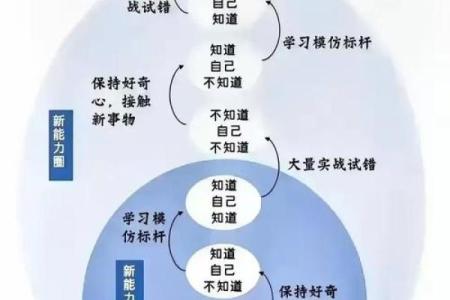 探索纯正命理学的奥秘与魅力，揭示人生的无限可能