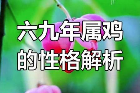 属鸡17年的命运与性格解析：寻找你的独特光辉