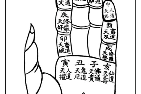 算命之道：探寻属于你的命理密码，揭开人生玄机！