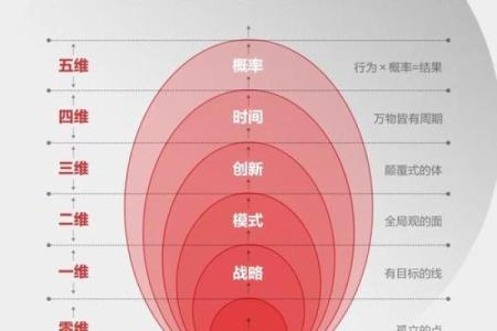 职业改变命运：从选择到成功的蜕变之路