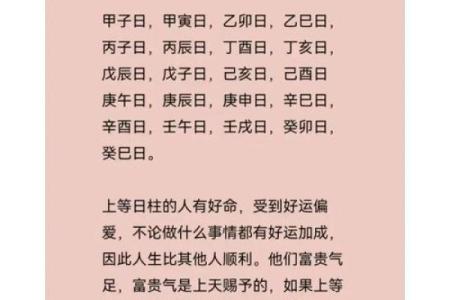2003年巳时出生的命理解析与人生指引