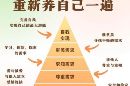 命理学学习的正确顺序：从基础到精髓，开启自我探索之旅