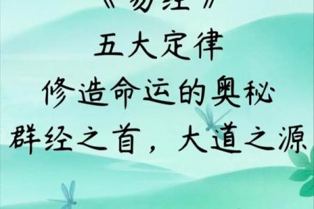 探索命理：戊子、庚子、丙子与乙卯命运的奥秘