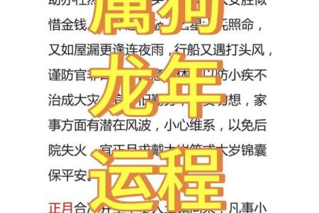 了解山头火命：与生肖的深刻联系与启示