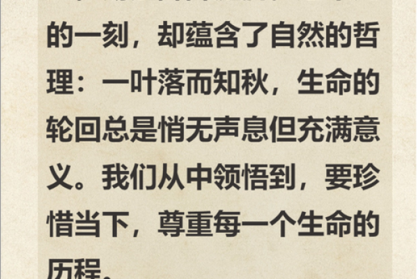 执命的深刻含义与现实应用探秘 执命的深刻含义与现实应用探秘