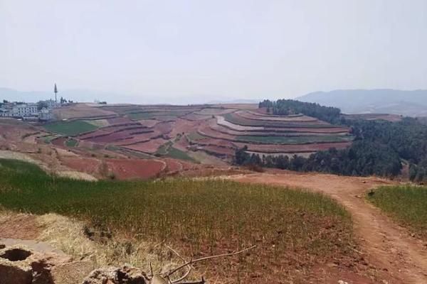 1982年腊月十三:命运交响曲中的岁月回声 1982年腊月十三:命运交响曲中的岁月回声