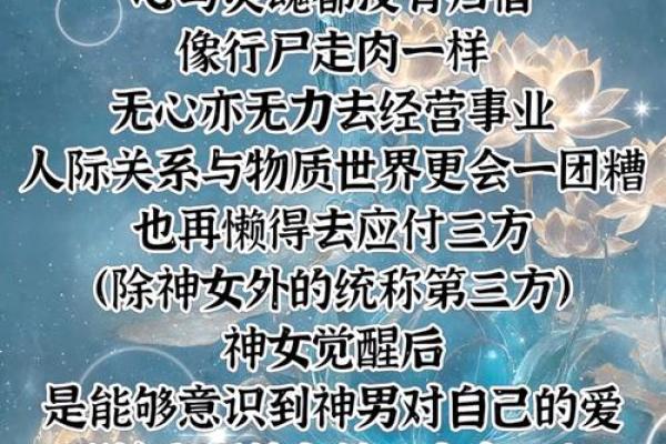 揭秘凤凰命：用什么字代表的神秘寓意