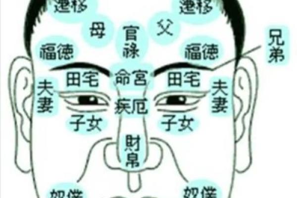 耳朵与命运的秘密:没有耳朵背后隐藏的深刻含义 耳朵与命运的秘密:没有耳朵背后隐藏的深刻含义