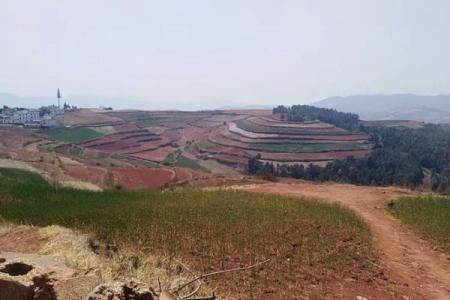 1982年腊月十三：命运交响曲中的岁月回声