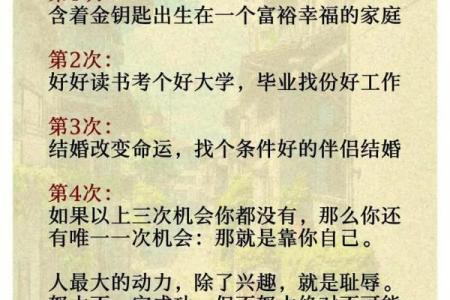 1972年出生的人：命运的独特印记与人生之旅