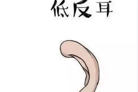 耳朵与命运的秘密：没有耳朵背后隐藏的深刻含义