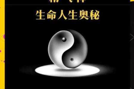 1997年出生的你，命运如何？解读生命的奥秘与潜力