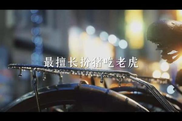 揭开十二星座与老虎命运的神秘面纱！