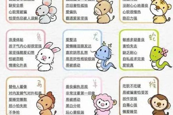 探索十二生肖：每个生肖年的命运与特点