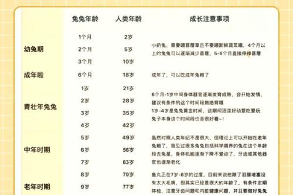 1999年兔女命运解析:探索属兔女性的独特人生之路 1999年兔女命运解析:探索属兔女性的独特人生之路