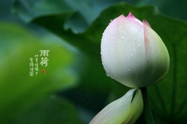 流动的生命：在变幻中找到自我