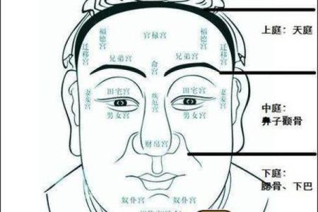 下巴方圆的男人，命运与性格的深刻关联