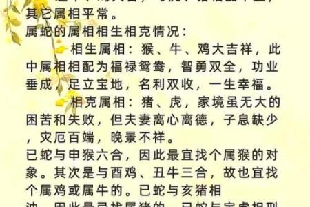 探索命圆之谜：生肖背后的深意与启示