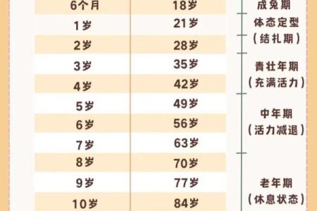 2003年兔年命理解析：揭示兔子的性格与命运之谜