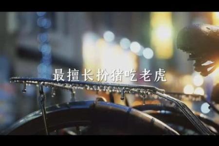 揭开十二星座与老虎命运的神秘面纱！