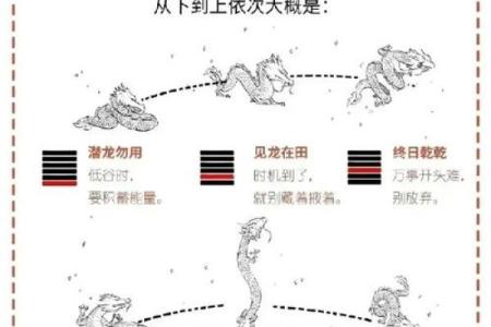 什么命局能镇住龙？探秘命理与龙的关系